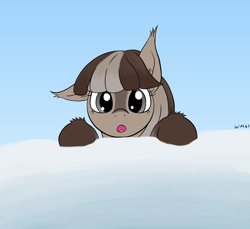 Size: 1720x1576 | Tagged: safe, artist:wapamario63, imported from derpibooru, imported from ponybooru, oc, oc only, oc:winter wonder, pony, /mlp/, :o, blaze (coat marking), bust, coat markings, ear fluff, ears, female, floppy ears, front view, full face view, looking at you, mare, one ear down, ooo, open mouth, peeking, simple background, snow, snow mare, snowpony (species), socks (coat marking), solo, taiga pony, yakutian horse