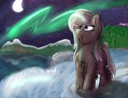 Size: 2048x1583 | Tagged: safe, artist:kalashnikitty, imported from derpibooru, oc, oc only, pony, aurora borealis, female, forest, looking up, mare, moon, open mouth, purple eyes, signature, snow mare, snowpony (species), solo, stars, taiga pony, yakutian horse