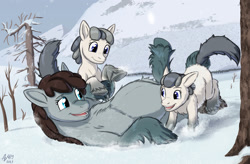Size: 1825x1200 | Tagged: safe, artist:a0iisa, artist:anonymous, imported from derpibooru, oc, oc only, oc:bright snow, oc:firn gully, oc:shiny snow, pony, female, filly, foal, mare, mother and child, mother and daughter, mountain, on back, open mouth, pregnant, snow, snow mare, snowpony (species), taiga pony, tree, trio, yakutian horse