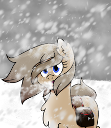 Size: 1300x1500 | Tagged: safe, artist:machacapigeon, imported from derpibooru, oc, oc only, oc:blizzard hearth, earth pony, pony, /mlp/, bag, coat markings, ear fluff, ears, female, mare, pale belly, saddle bag, snow, snow mare, snowpony (species), solo, taiga pony, yakutian horse