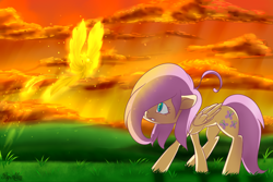 Size: 1500x1000 | Tagged: safe, artist:gnidagovnida, imported from derpibooru, fluttershy, pegasus, phoenix, pony, 2014, cloud, cute, grass, hair over one eye, shyabetes, sky, stray strand