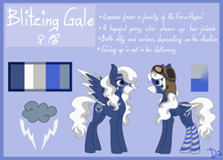 Size: 3000x2146 | Tagged: safe, artist:lambydwight, imported from derpibooru, oc, oc:blitzing gale, pegasus, pony, high res, reference sheet