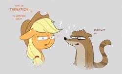 Size: 1471x894 | Tagged: safe, artist:another_pony, imported from derpibooru, applejack, earth pony, pony, raccoon, confused, dialogue, question mark, regular show, rigby