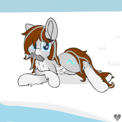 Size: 2000x2000 | Tagged: safe, artist:gnashie, imported from derpibooru, oc, oc only, oc:silver snow, fish, pony, belly button, chest fluff, high res, hoofprints, looking at you, lying down, mouth hold, on side, side, snow, snow mare, snowpony (species), solo, taiga pony, water, yakutian horse