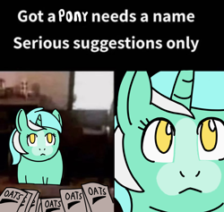 Size: 1256x1191 | Tagged: safe, artist:rainbow-douch, imported from derpibooru, lyra heartstrings, pony, unicorn, caption, female, food, image macro, mare, meme, oats, ponified, ponified meme, solo, text