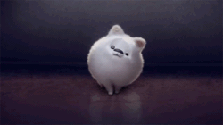 Size: 498x278 | Tagged: safe, imported from derpibooru, screencap, dog, pomeranian, spoiler:my little pony: a new generation, 3d, angry, animated, cloudpuff, flying pomeranian, g5, gif, male, my little pony: a new generation, official, solo, tenor gif, winged dog, zoom in