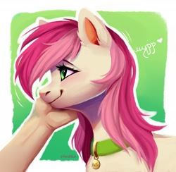 Size: 2039x1988 | Tagged: safe, artist:pilushka, imported from derpibooru, roseluck, human, pony, behaving like a cat, collar, commission, commissioner:doom9454, cute, cyrillic, hand, human on pony petting, pet tag, petting, pony pet, purring, rosepet, russian, translated in the description