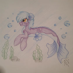 Size: 1918x1918 | Tagged: safe, artist:taigatanfan, imported from derpibooru, oc, oc only, merpony, seapony (g4), blue mane, bubble, dorsal fin, fish tail, flowing tail, orange eyes, rock, seaweed, signature, simple background, smiling, solo, swimming, tail, underwater, water