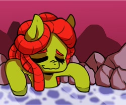 Size: 1200x1002 | Tagged: safe, artist:raph13th, imported from derpibooru, tree hugger, earth pony, pony, chibi, dreadlocks, eyes closed, female, mare, rock, soaking, solo, swimming pool, wavy mouth, wet