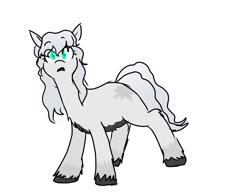 Size: 1563x1200 | Tagged: safe, artist:pony quarantine, imported from derpibooru, oc, oc only, earth pony, pony, fluffy, looking at you, simple background, snow mare, snowpony (species), solo, taiga pony, white background, yakutian horse