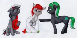 Size: 4096x2032 | Tagged: safe, artist:myzanil, imported from derpibooru, oc, oc only, oc:oracle linux, oc:red hat, oc:rocky linux, earth pony, pony, angry, argument, chest fluff, colored pencil drawing, distro ponies, earth pony oc, family, floppy ears, glasses, grass, gravestone, hat, linux, os pony, pointing, sitting, smiling, smirk, traditional art