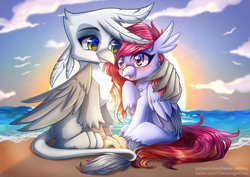 Size: 4961x3508 | Tagged: safe, artist:chaosangeldesu, imported from derpibooru, oc, griffon, hippogriff, blushing, commission, couple, cute, romantic, sunset