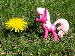 Size: 4128x3096 | Tagged: safe, artist:dingopatagonico, imported from derpibooru, cheerilee, pony, flower, irl, photo, solo, toy