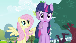 Size: 1920x1080 | Tagged: safe, imported from derpibooru, screencap, fluttershy, spike, twilight sparkle, pegasus, pony, unicorn, friendship is magic, season 1, day, female, looking at each other, mare, outdoors, sees you, spread wings, unicorn twilight, wings