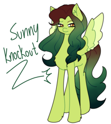 Size: 2319x2575 | Tagged: safe, imported from derpibooru, oc, oc only, oc:sunnyknockout, pegasus, pony, high res, solo
