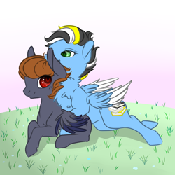 Size: 2834x2834 | Tagged: safe, artist:schokocream, imported from derpibooru, oc, oc only, pegasus, pony, base used, chest fluff, female, grass, high res, lying down, mare, outdoors, pegasus oc, prone, smiling, two toned wings, wings