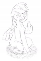 Size: 1280x1878 | Tagged: safe, artist:doodledonutart, artist:pony-thunder, imported from derpibooru, rainbow dash, bird, pegasus, pony, angry, bird nest, middle feather, middle finger, nest, sketch, vulgar, wing hands, wings, wip