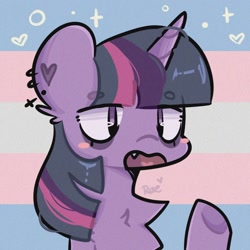 Size: 1024x1024 | Tagged: safe, artist:kokoaapuff, imported from derpibooru, twilight sparkle, pony, unicorn, chest fluff, ear piercing, earring, jewelry, piercing, pride, pride flag, transgender pride flag
