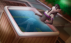 Size: 2800x1700 | Tagged: safe, artist:elmutanto, imported from derpibooru, octavia melody, anthro, earth pony, human, plantigrade anthro, bare shoulders, clothed bath, clothes, dress, female, hot tub, humanized, jacuzzi, mare, pony ears, water