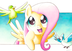 Size: 5787x4093 | Tagged: safe, artist:konanachi, imported from derpibooru, fluttershy, bird, blue jay, pegasus, cute, daaaaaaaaaaaw, female, mare, open mouth, panel break, shyabetes