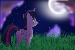 Size: 1776x1180 | Tagged: safe, artist:lincolnbrewsterfan, derpibooru exclusive, imported from derpibooru, twilight sparkle, alicorn, pony, my little pony: the movie, .svg available, beautiful, butt, cloud, female, field, folded wings, full moon, grass, grass field, happy, labor day, looking at something, looking up, mare, moon, movie accurate, nc-tv signature, night, night sky, peaceful, plot, rear view, signature, sky, smiling, solo, special, standing, stargazing, starry night, stars, svg, twilight sparkle (alicorn), vector, watermark, wings