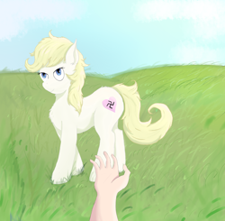 Size: 2500x2450 | Tagged: safe, artist:fdv.alekso, imported from ponybooru, oc, oc:aryanne, earth pony, nazi, swastika