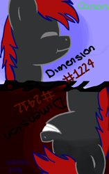 Size: 1888x3015 | Tagged: safe, artist:shadowsky, imported from derpibooru, oc, oc:shadow sky, pegasus, pony, dimensions, multiverse, red and black oc, red eyes