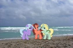 Size: 1920x1280 | Tagged: safe, artist:chrzanek97, imported from derpibooru, dear darling, fond feather, swoon song, earth pony, pegasus, pony, unicorn, beach, bimbettes, blue eyes, bow, brown mane, female, florida, folded wings, hair bow, hollywood, hoof on chest, horn, irl, lidded eyes, looking at you, mare, ocean, photo, ponies in real life, purple eyes, raised hoof, smiling, smiling at you, standing, tail, tail bow, trio, wings