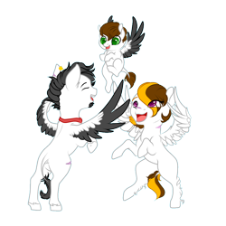 Size: 1000x1000 | Tagged: safe, artist:schokocream, imported from derpibooru, oc, pegasus, pony, female, filly, male, mare, pegasus oc, rearing, simple background, stallion, transparent background, two toned wings, wings