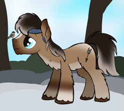 Size: 2591x2324 | Tagged: safe, artist:dyonys, imported from derpibooru, oc, oc only, oc:ice shard, bird, pony, chest fluff, chin fluff, cute, cyan eyes, ear fluff, fluffy, headband, high res, hoof fluff, leg fluff, lidded eyes, male, sketch, smiling, snowpony (species), solo, stallion, standing, taiga pony, unshorn fetlocks, yakutian horse