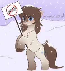 Size: 3115x3387 | Tagged: safe, artist:vetta, imported from derpibooru, oc, oc only, oc:frosty flakes, earth pony, fish, pony, adventure in the comments, bipedal, female, high res, holding sign, sign, snow mare, snowpony (species), solo, taiga pony, yakutian horse
