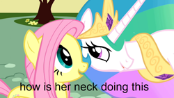 Size: 1000x563 | Tagged: safe, edit, edited screencap, imported from derpibooru, screencap, fluttershy, princess celestia, alicorn, pegasus, pony, a bird in the hoof, season 1, caption, crown, duo, eyelashes, horn, jewelry, long neck, looking at each other, open mouth, open smile, peytral, princess necklestia, regalia, smiling, smiling at each other, text