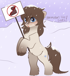 Size: 3115x3387 | Tagged: safe, artist:vetta, edit, editor:edits of hate, imported from ponybooru, oc, oc only, oc:frosty flakes, pony, bipedal, blushing, boot, chest fluff, female, fluffy, looking at you, mare, meta, sign, snowpony (species), solo, taiga pony, unshorn fetlocks, yakutian horse