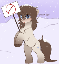 Size: 3115x3387 | Tagged: safe, artist:vetta, edit, editor:edits of hate, imported from ponybooru, oc, oc only, oc:frosty flakes, pony, bipedal, blushing, chest fluff, exploitable, female, fluffy, looking at you, mare, meta, sign, snowpony (species), solo, taiga pony, unshorn fetlocks, yakutian horse