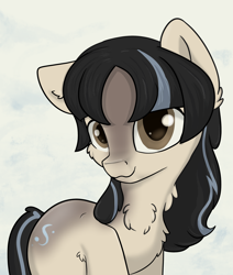 Size: 2200x2600 | Tagged: safe, artist:dumbwoofer, imported from derpibooru, imported from ponybooru, oc, oc only, oc:cold shoulder, pony, /mlp/, blaze (coat marking), chest fluff, coat markings, cute, ear fluff, ears, facial markings, female, floppy ears, fluffy, high res, looking at you, mare, snow mare, snowpony (species), solo, taiga pony, yakutian horse