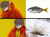 Size: 720x527 | Tagged: safe, artist:vetta, imported from derpibooru, oc, oc:frosty flakes, earth pony, fish, pony, taiga pony, female, irl, mare, meme, not pony related, photo, ponified meme