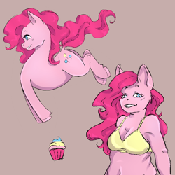 Size: 688x688 | Tagged: safe, artist:natt333, imported from derpibooru, pinkie pie, anthro, earth pony, pony, belly, belly button, bra, breasts, busty pinkie pie, clothes, cupcake, food, palindrome get, underwear