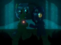 Size: 800x600 | Tagged: safe, artist:rangelost, imported from derpibooru, oc, oc only, oc:moonflower, oc:trailblazer, bat pony, earth pony, cyoa:d20 pony, bat pony oc, crowd, cyoa, earth pony oc, glowing, glowing eyes, hooded cape, philosopher's stone, story included, waterfall