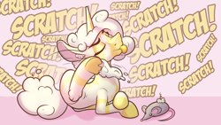 Size: 1600x900 | Tagged: safe, artist:cocaine, imported from derpibooru, oc, oc only, oc:princess coke, alicorn, zebra, zebra alicorn, :p, cat toy, lying, pet, scratching, text, tongue out