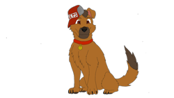 Size: 1466x824 | Tagged: safe, imported from derpibooru, oc, oc:joescoutk9, dog, derpibooru community collaboration, 2022 community collab, collar, hat, simple background, transparent background