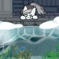 Size: 1500x1500 | Tagged: safe, artist:alistair504, imported from derpibooru, oc, bat pony, fish, pony, looking at something, partially submerged, solo, underwater, water