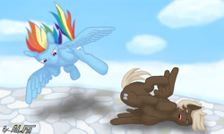 Size: 5000x3000 | Tagged: safe, artist:alfa007, imported from derpibooru, dumbbell, rainbow dash, pegasus, pony, angry, butt, cloud, cloudsdale, duo, duo male and female, female, fight, flying, kicking, male, mare, open mouth, plot, spread wings, stallion, tongue out, wings
