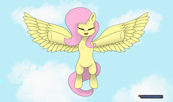 Size: 11466x6808 | Tagged: safe, artist:phosphorshy, imported from derpibooru, fluttershy, pegasus, pony, absurd resolution, blue sky, chest fluff, cloud, cute, daaaaaaaaaaaw, ear fluff, eyes closed, flying, incoming hug, open mouth, open smile, outstretched arms, shyabetes, signature, sky, smiling, solo, spread wings, wings