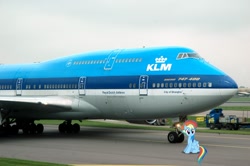 Size: 1280x851 | Tagged: safe, imported from derpibooru, rainbow dash, pegasus, pony, alternate hairstyle, boeing 747, female, irl, klm, looking at you, mare, netherlands, photo, plane, ponies in real life, sitting