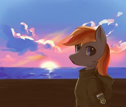 Size: 2398x2048 | Tagged: safe, artist:starccec, imported from derpibooru, oc, oc only, oc:felix gulfstream, pegasus, pony, ace combat, beach, clothes, high res, jacket, male, osea, solo, sunset