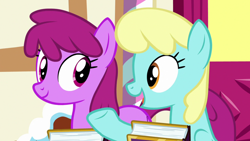 Size: 1920x1080 | Tagged: safe, imported from derpibooru, screencap, berry punch, berryshine, sassaflash, earth pony, pegasus, pony, fame and misfortune, season 7, background pony, book, duo, duo female, eye contact, female, looking at each other, looking at someone, mare, open mouth, smiling