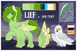 Size: 3000x2000 | Tagged: safe, artist:liefsong, imported from derpibooru, oc, oc only, oc:lief, bird, owl, pegasus, chest fluff, colored wings, feathered fetlocks, multicolored wings, pet, reference, reference sheet, snowy owl, tail, tail feathers, wings