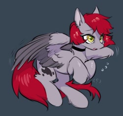 Size: 1000x945 | Tagged: safe, artist:swaybat, imported from derpibooru, oc, oc only, oc:swaybat, pegasus, pony, bat pony oc, collar, colored wings, eye clipping through hair, female, gray background, gray coat, hock fluff, mare, open mouth, question mark, race swap, red mane, red tail, simple background, solo, spread wings, tail, two toned wings, wings, yellow eyes