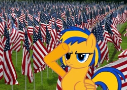 Size: 1174x837 | Tagged: safe, artist:mlpfan3991, imported from derpibooru, oc, oc:flare spark, pegasus, flag, rainbow dash salutes, salute, united states, veterans day