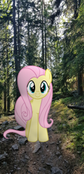 Size: 644x1325 | Tagged: safe, artist:icetea, imported from derpibooru, fluttershy, pegasus, pony, female, forest, forest background, irl, photo, ponies in real life, real life background, solo